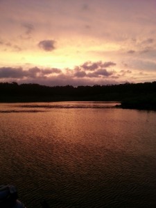 20140628_060449_resized